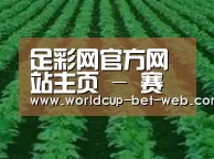 种植基地六(图1)