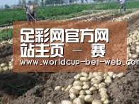 种植基地八