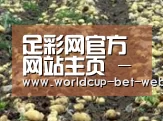 种植基地七