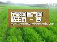 种植基地四