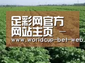 种植基地五