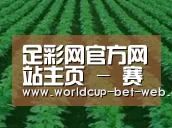 种植基地六