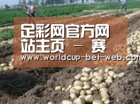 种植基地七(图1)