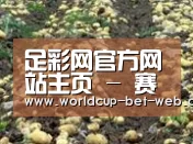 种植基地八(图1)