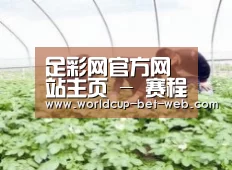 种植基地三