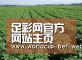 种植基地五(图1)