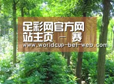 种植基地九