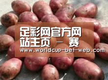 产品展示标题5(图1)