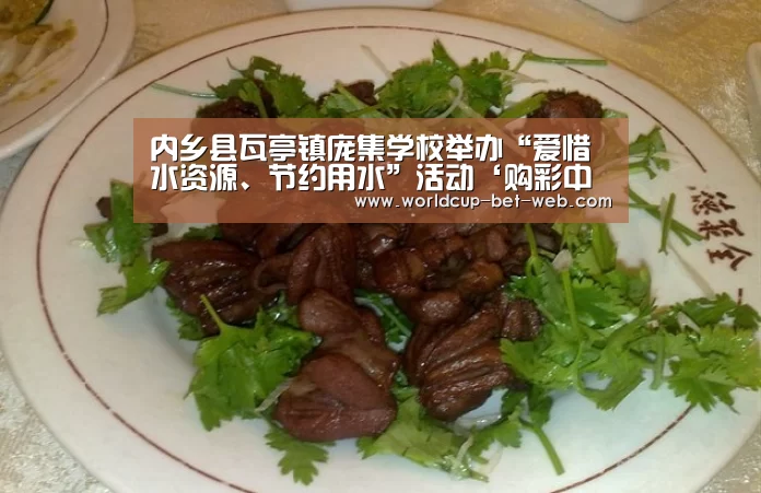 内乡县瓦亭镇庞集学校举办“爱惜水资源、节约用水”活动‘购彩中心开奖查询’(图2) 购彩中心官网