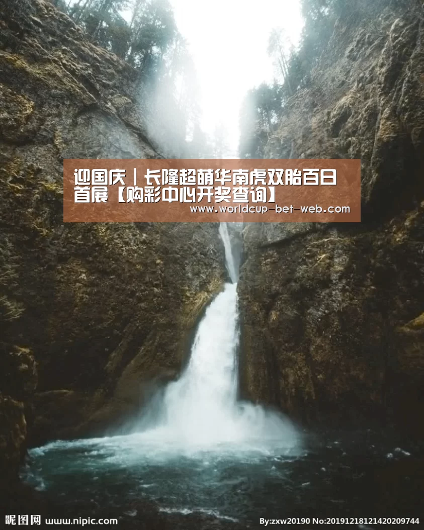 迎国庆|长隆超萌华南虎双胎百日首展【购彩中心开奖查询】(图3) 购彩中心官网
